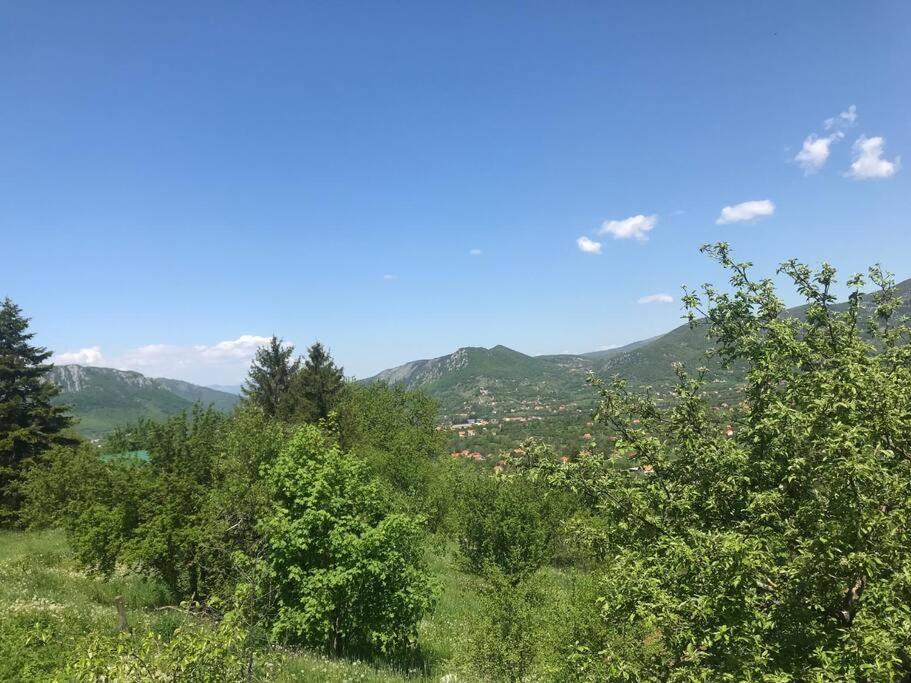 Grandma'S Hut Villa Nikšić Екстериор снимка